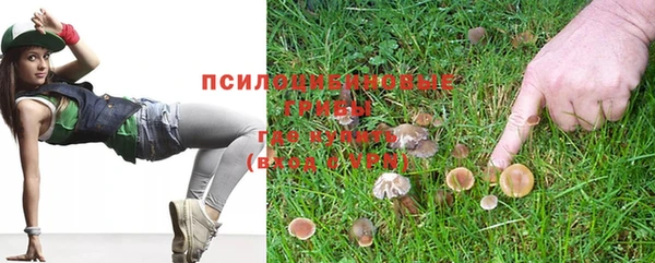 тгк Арсеньев