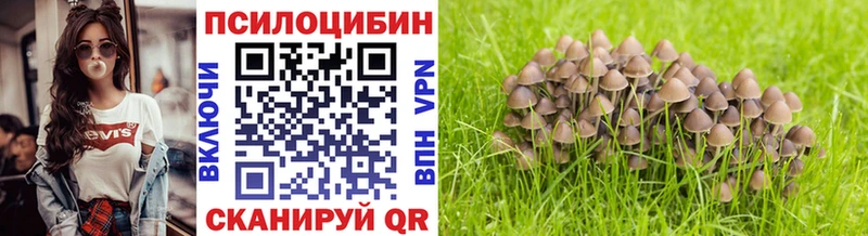 цена наркотик Оханск блэк спрут ТОР Псилоцибиновые грибы прущие грибы